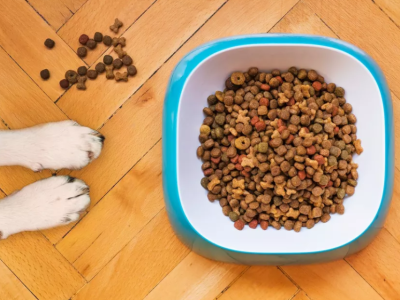 Ração para Ongs e Associações