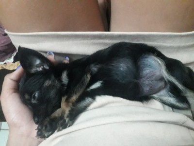 Estou desempregada é tenho 3 filhos e moro de aluguel